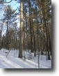New York Land 890 Acres York Hill Forest