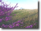 300 Acres Hunting, Secluded, Private Road