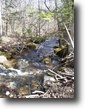 Beautiful 30 Acres for Home or Hunting