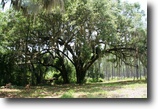 Florida Hunting Land 393 Acres Warren Farm