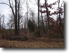 Kentucky Hunting Land 26 Acres All Wooded for Hunting