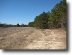 Arkansas Hunting Land 116 Acres May Tract