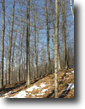 New York Land 131 Acres Panther Mountain Forest