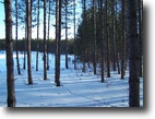 10 Acres in Kalkaska County
