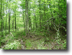 New York Hunting Land 248 Acres Adirondack Sportsman's Paradise