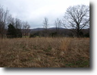 Tennessee Land 1 Acres Cobblestone Drive (Tract 10 - .50 ac)