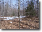 Nearly 5 Acres in Leelanau Co