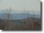 Vermont Land 150 Acres Catbow Brook Forest
