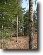 New York Ranch Land 50 Acres Premium Deer Hunting Land