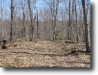 Vermont Land 85 Acres Ottauquechee River Forest