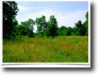 Missouri Farm Land 10 Acres Getaway To The Incredible Missouri Ozarks