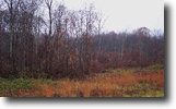 Alabama Land 6 Acres Lot 131 Steel Tram Ridge Rd