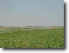 440 acre ranch/farm property bordering BLM