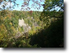 New York Farm Land 6 Acres Riverfront , Streamfront & New Driveway
