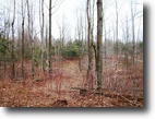 New York Farm Land 6 Acres Waterfront on River and Stream !
