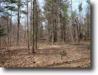 New York Farm Land 6 Acres Unparalled Forest and Waterfront
