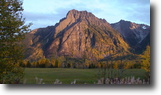 British Columbia Farm Land 6 Acres Lovely home in the coast mountains