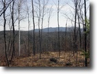 Vermont Land 181 Acres Harris Road Forest