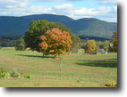 4.4 acres with spectacular mountain view