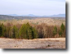 Vermont Land 102 Acres Walden Hill Forest