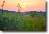 Missouri Ranch Land 22 Acres Steep Hunting Land Next To National Forest