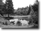 Pennsylvania Land 43 Acres A Rare Opportunity