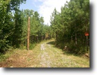110 Acres in Beautiful Lunenburg Co, VA