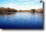 South Carolina Ranch Land 196 Acres 195 Ac Farm in Wagener,SC with 25 Ac Pond