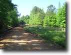 Alabama Hunting Land 41 Acres Pester Tract