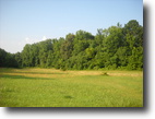 Tennessee Land 20 Acres Good investment or beautiful home site!