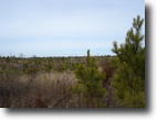 Tennessee Hunting Land 1 Acres Excellent Investment Opportunities