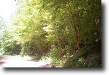 Tennessee Hunting Land 390 Acres Hunting, Timber, & Investment