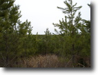 732 Acre Tract that has it all!!