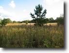 Tennessee Farm Land 84 Acres TN Farmland - Huge Timber - Deer Hunting