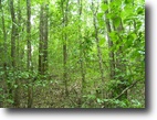 4.48 Acres In Oktibbeha Co.