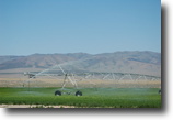 Idaho Farm Land 5 Acres Bridge Farm On Raft River