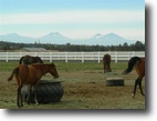 Oregon Ranch Land 39 Acres Horse property with cascade mountain views