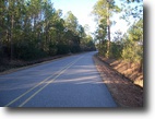 Five Peaceful Wooded Acres. Home or Hunt !