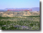 1120 acres in West Texas!