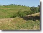 Kentucky Farm Land 75 Acres Farm:75+/-ac farm in Elliott Co.KY!