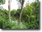 Iowa Farm Land 15 Acres 15 ac to Build, Hunt, Fish!
