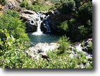 28 Acres on Beautiful Cedar Creek