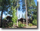 Privacy On 80 Timbered Acres!