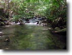 200 Acres of Mountain Land, Trout Stream
