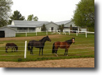 Ontario Farm Land 37 Acres Hobby Horse Farm