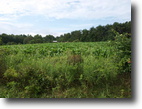 Tennessee Ranch Land 628 Acres 627.50 AC West of McCormick Ridge Road