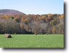 20 acres of open pasture