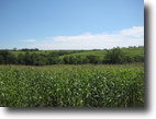 Iowa Farm Land 110 Acres Ragsdale 110 ac