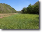 1403.65 Acres with NO RESTRICTIONS