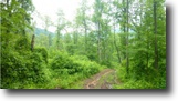 Ohio Hunting Land 115 Acres Churn Creek Adams County, OH